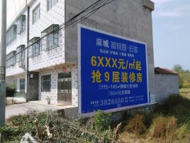 来凤墙体广告质量分析