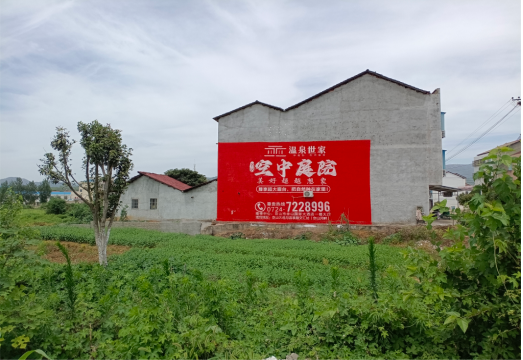 来凤做墙体广告的意义