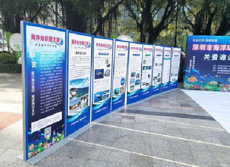 来凤KT板的种类和知识。